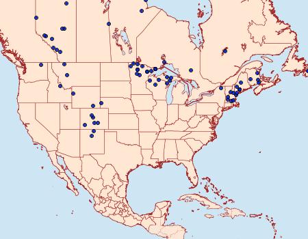 Distribution Data for Macaria brunneata