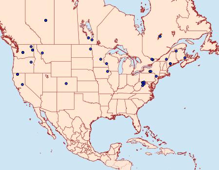 Distribution Data for Macaria exauspicata