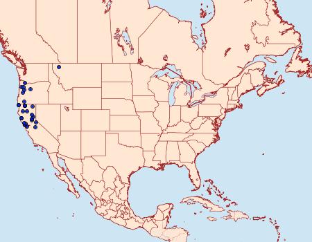 Distribution Data for Macaria umbriferata