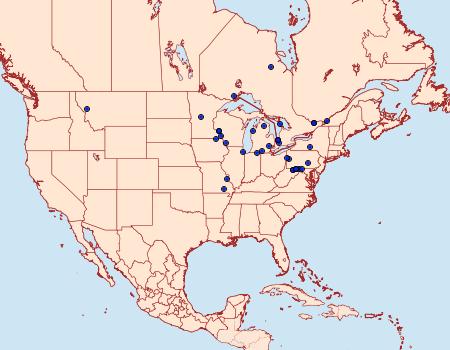 Distribution Data for Macaria abruptata