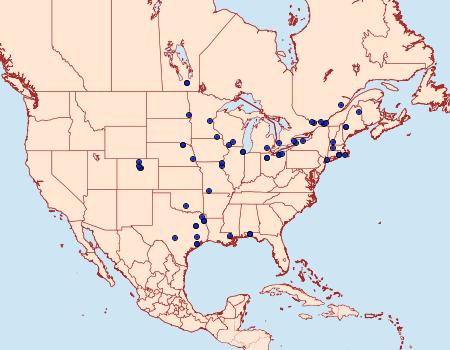 Distribution Data for Macaria coortaria