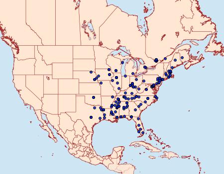 Distribution Data for Caloptilia rhoifoliella