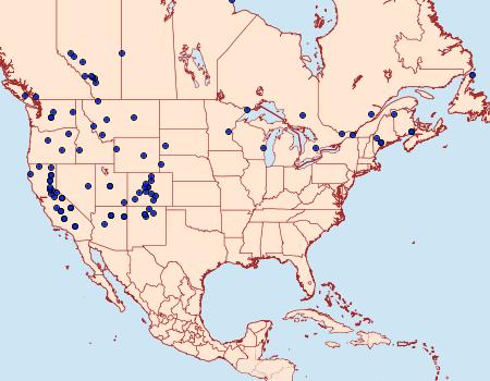 Distribution Data for Macaria bitactata