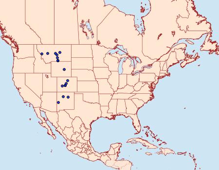 Distribution Data for Macaria denticulodes