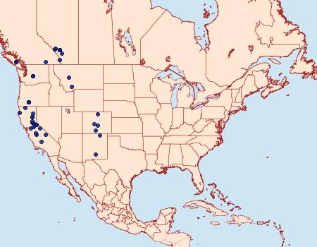 Distribution Data for Macaria decorata