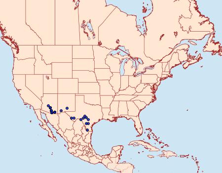 Distribution Data for Macaria deceptrix