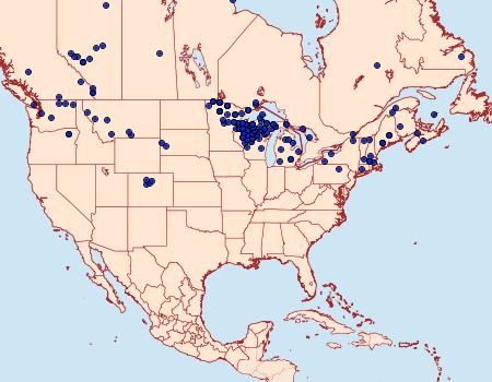 Distribution Data for Macaria truncataria