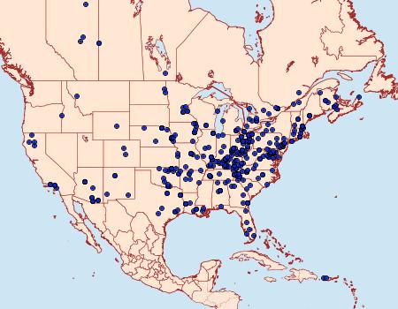 Distribution Data for Macaria aemulataria