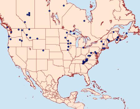 Distribution Data for Macaria ulsterata