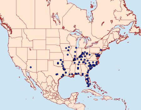 Distribution Data for Macaria aequiferaria