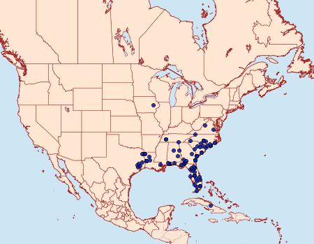 Distribution Data for Macaria distribuaria