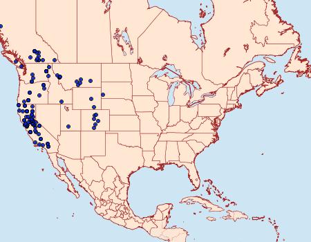 Distribution Data for Macaria adonis