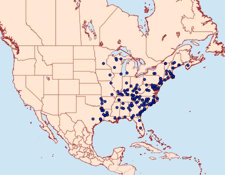 Distribution Data for Macaria transitaria