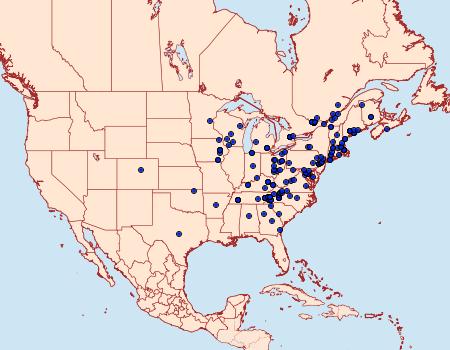 Distribution Data for Macaria minorata