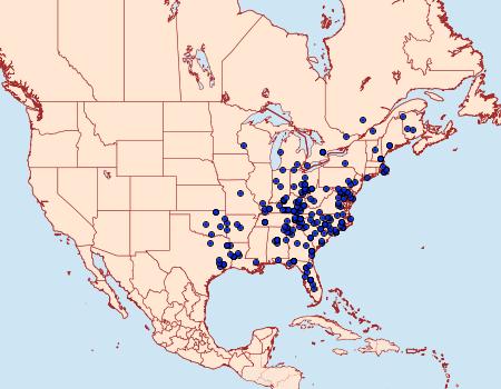 Distribution Data for Macaria bicolorata