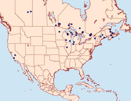 Distribution Data for Macaria masquerata