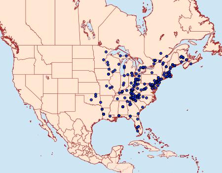 Distribution Data for Macaria bisignata