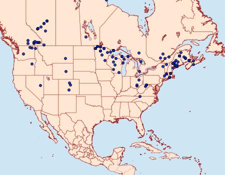 Distribution Data for Macaria sexmaculata