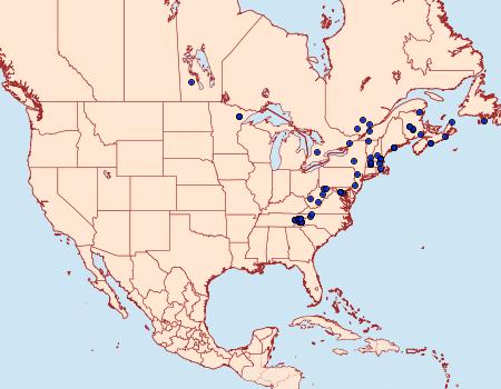 Distribution Data for Macaria pinistrobata