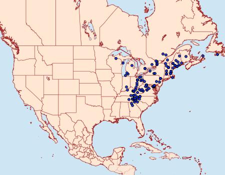 Distribution Data for Macaria fissinotata