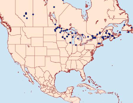 Distribution Data for Macaria oweni