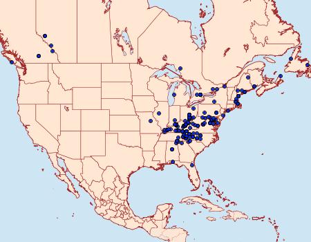 Distribution Data for Macaria granitata