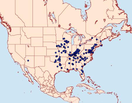 Distribution Data for Macaria multilineata