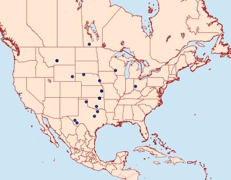 Distribution Data for Digrammia sublacteolata