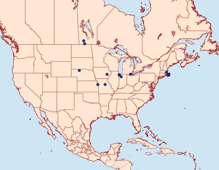 Distribution Data for Digrammia equivocata