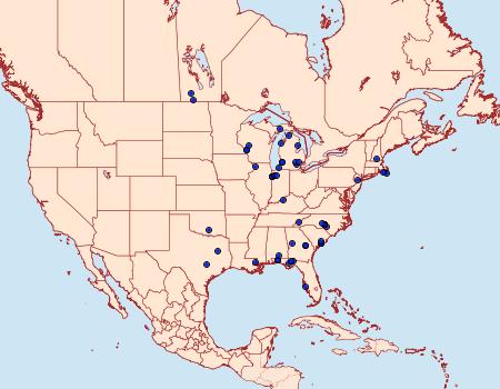 Distribution Data for Digrammia eremiata