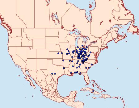 Distribution Data for Trigrammia quadrinotaria