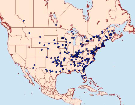 Distribution Data for Digrammia continuata