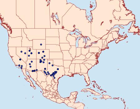 Distribution Data for Digrammia pallorata