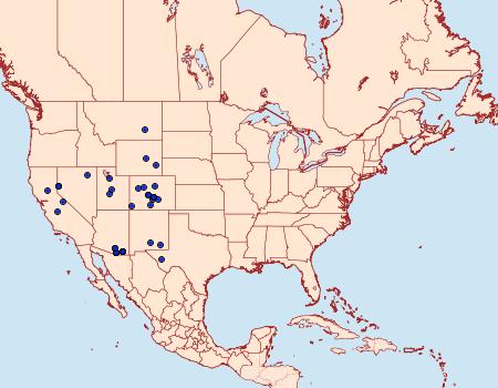 Distribution Data for Digrammia cinereola