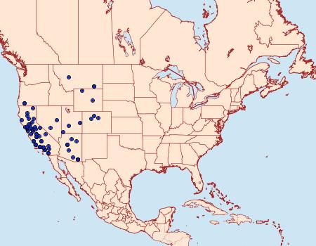 Distribution Data for Digrammia excurvata