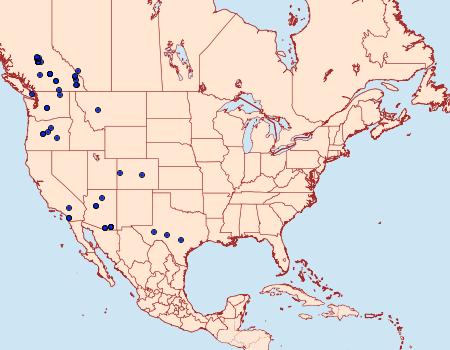 Distribution Data for Digrammia setonana