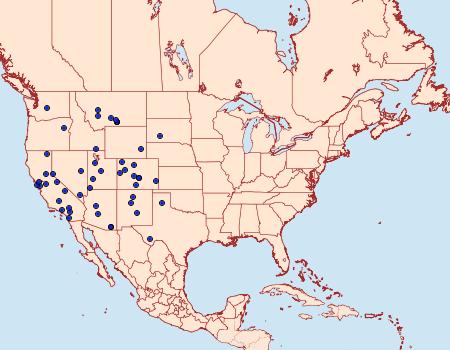 Distribution Data for Digrammia pertinata