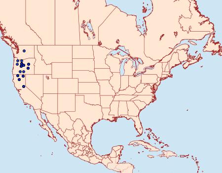 Distribution Data for Digrammia modocata