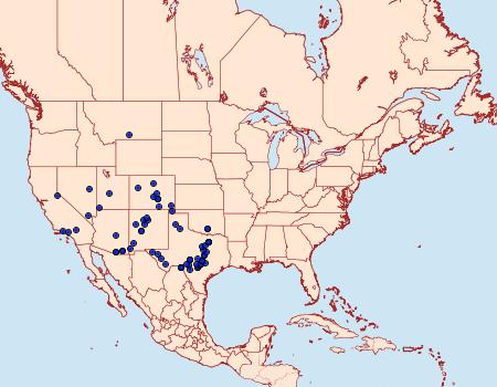 Distribution Data for Digrammia atrofasciata