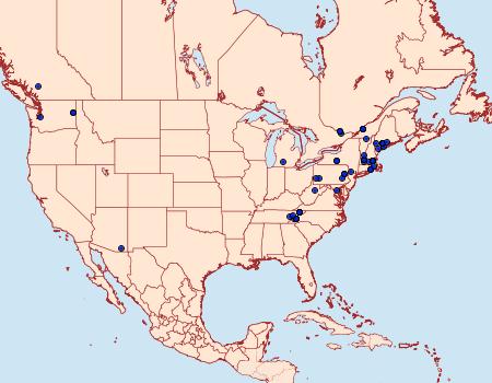 Distribution Data for Caloptilia serotinella