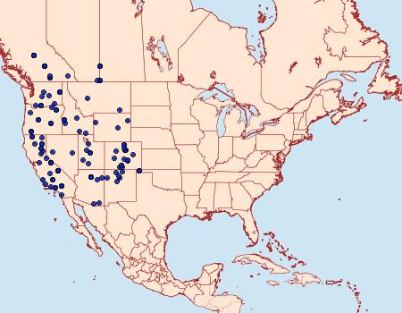 Distribution Data for Digrammia curvata