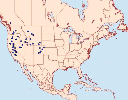 Distribution Data for Digrammia nubiculata