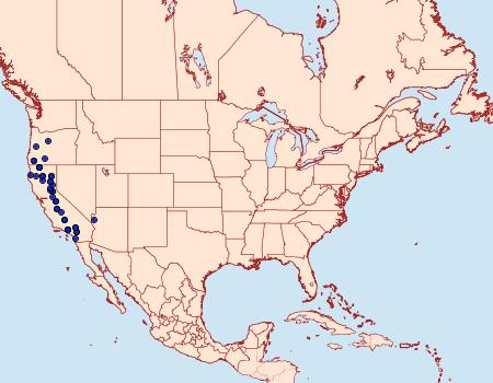 Distribution Data for Digrammia burneyata