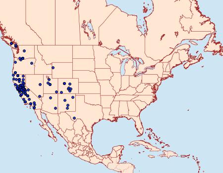 Distribution Data for Digrammia muscariata