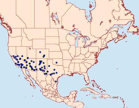 Distribution Data for Digrammia colorata