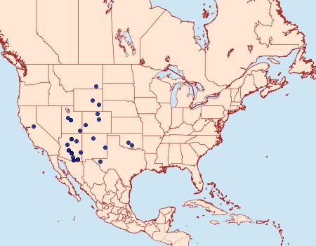 Distribution Data for Digrammia pervolata