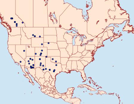 Distribution Data for Digrammia triviata