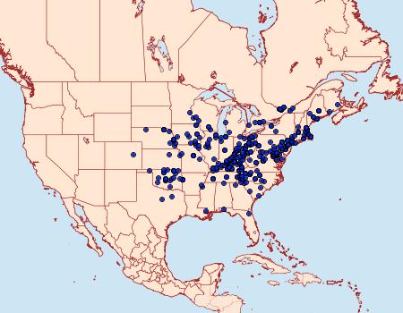 Distribution Data for Digrammia ocellinata