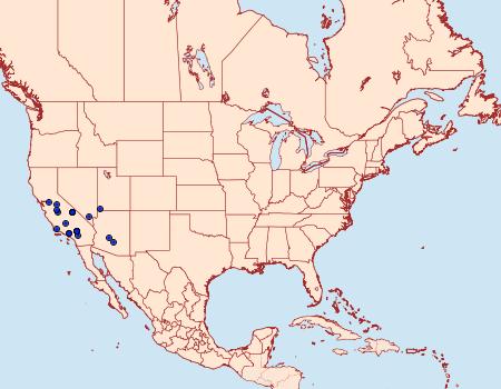 Distribution Data for Digrammia aliciata