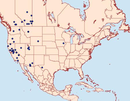 Distribution Data for Digrammia decorata